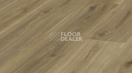 Ламинат Kronotex Exquisit 8мм d4689 Дуб Сьерра Золото фото 1 | FLOORDEALER